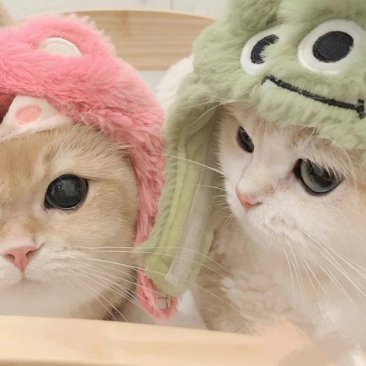深夜直播