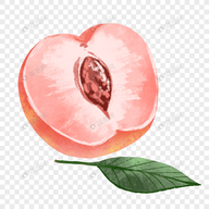黄游APP应用