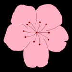 WWW,930av·COM网站APPAPP应用