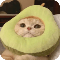 老司机自拍APP应用